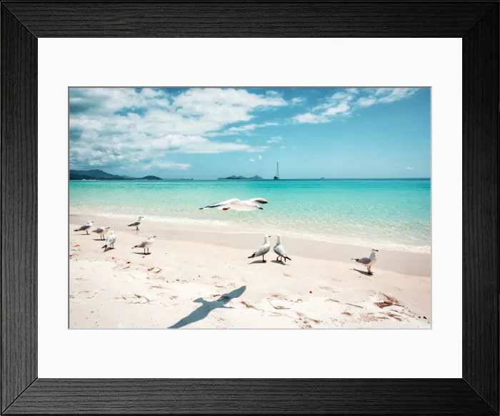 Framed Print : Whitehaven Beach in Whitsunday island, Australia