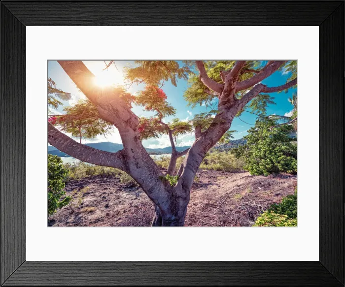 Framed Print : Sunrise of Arlie Beach Framed Print : Sunrise of Arlie Beach
