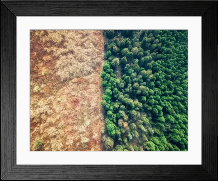 Framed Print : Green and Yellow