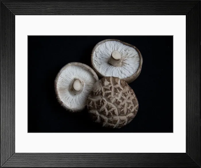 Framed Print : Shitake mushrooms