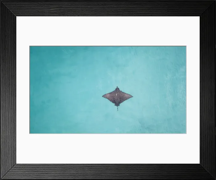 Framed Print : Heron Island
