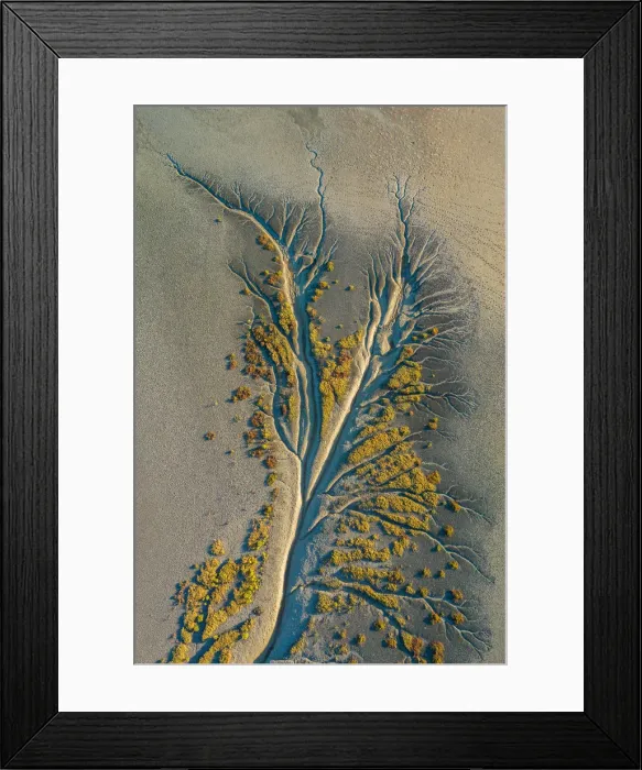 Framed Print : Mangrove Aerial Framed Print : Mangrove Aerial