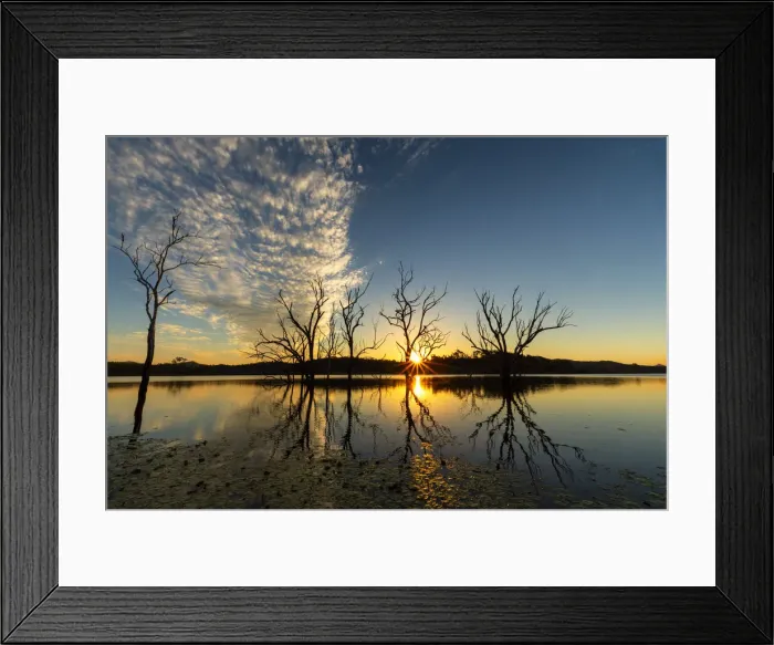 Framed Print : Tree Silhouete in the Ocean Sunrise Framed Print : Tree Silhouete in the Ocean Sunrise
