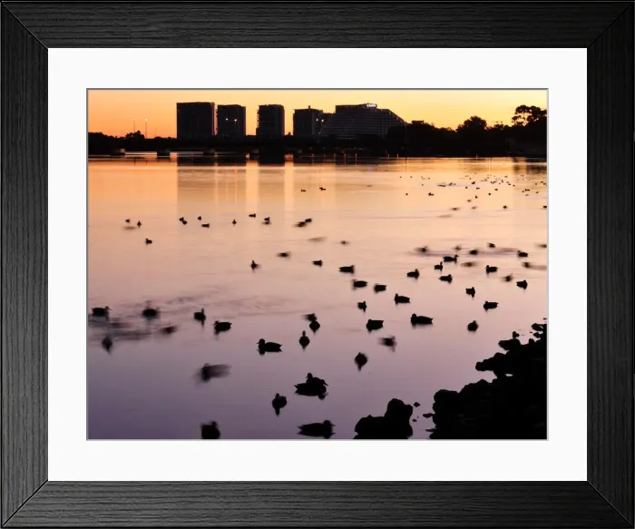 Framed Print : Swan River At Dawn