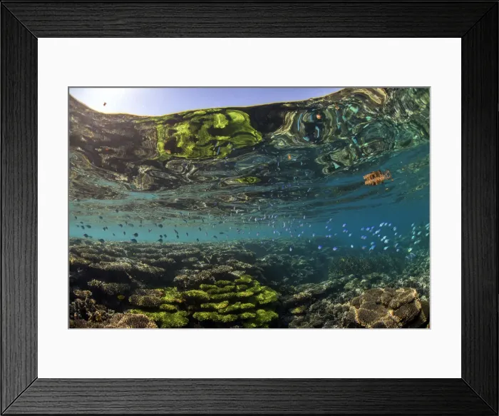 Framed Print : Ningaloo reflections Framed Print : Ningaloo reflections