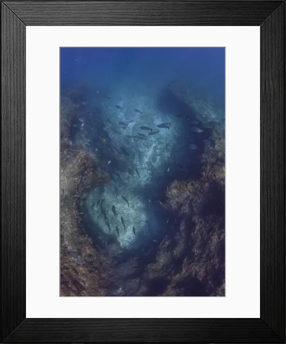 Framed Print : Maze on the outer Framed Print : Maze on the outer