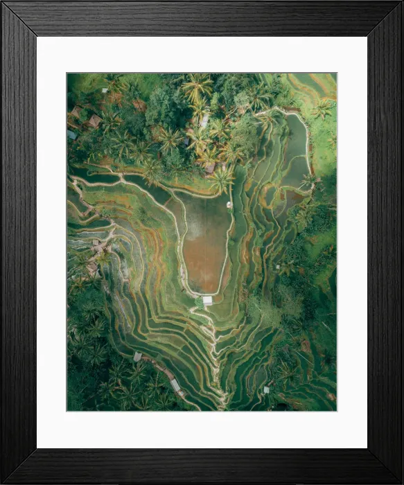 Framed Print : Bali Rice Terraces Framed Print : Bali Rice Terraces