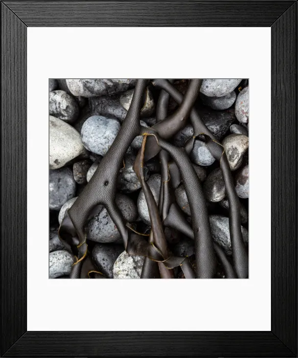 Framed Print : Wet Volcanic Rocks with seaweed