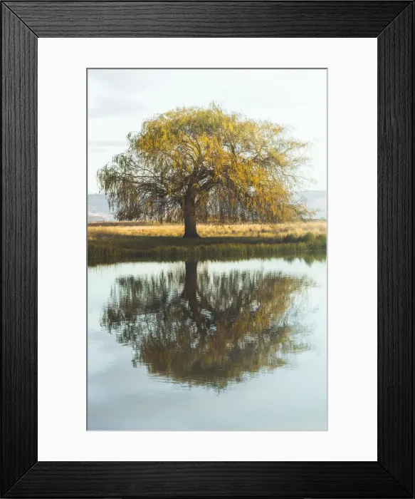 Framed Print : Ross, Tasmania