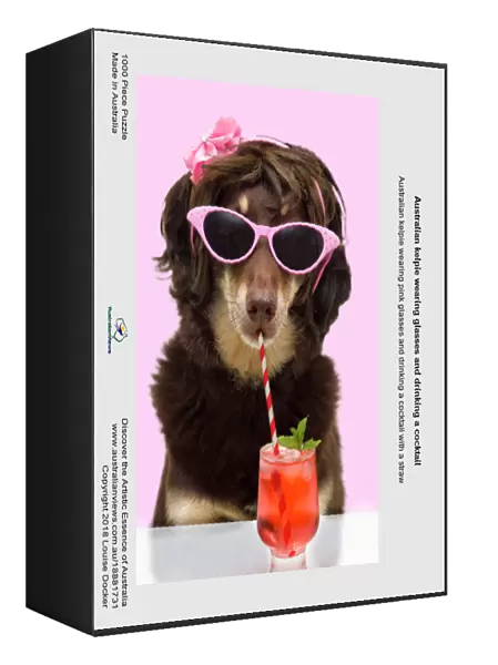 Australian kelpie wearing glasses and drinking a cocktail
