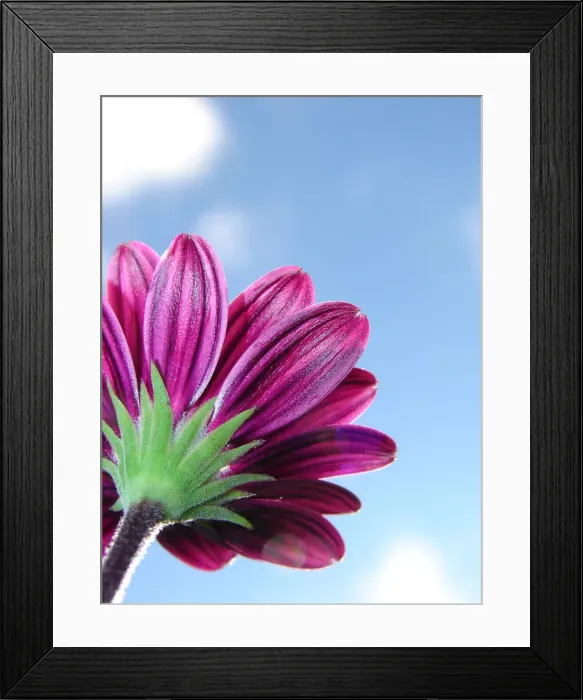 Framed Print : Louise Docker Photography