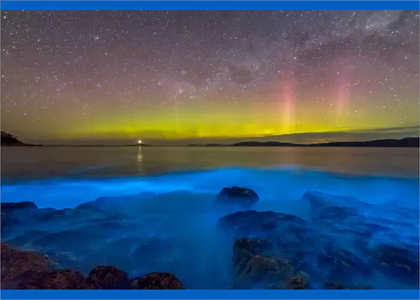 Aurora Australis or Southern Lights in the sky over spectacular blue bioluminescence in the water