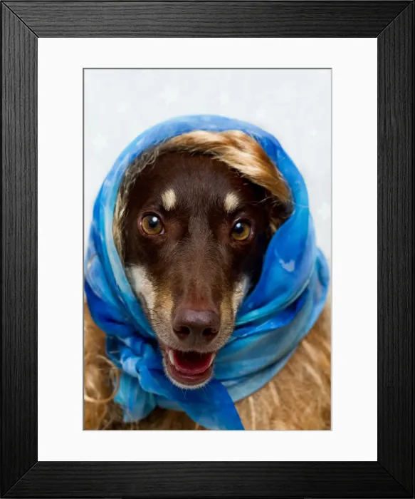 Framed Print : Louise Docker Photography Framed Print : Louise Docker Photography