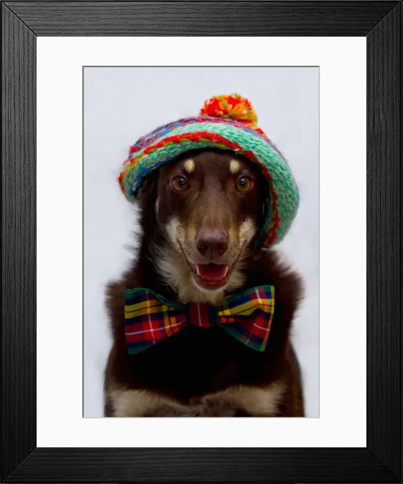 Framed Print : Louise Docker Photography
