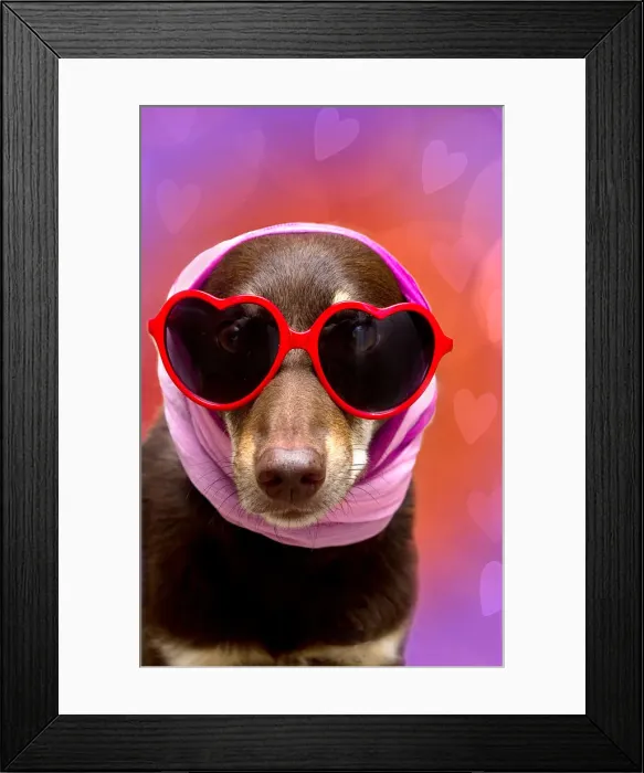 Framed Print : Pets Wearing Glasses