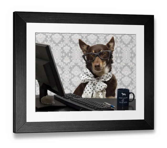 Framed Print : Pets Wearing Glasses Framed Print : Pets Wearing Glasses