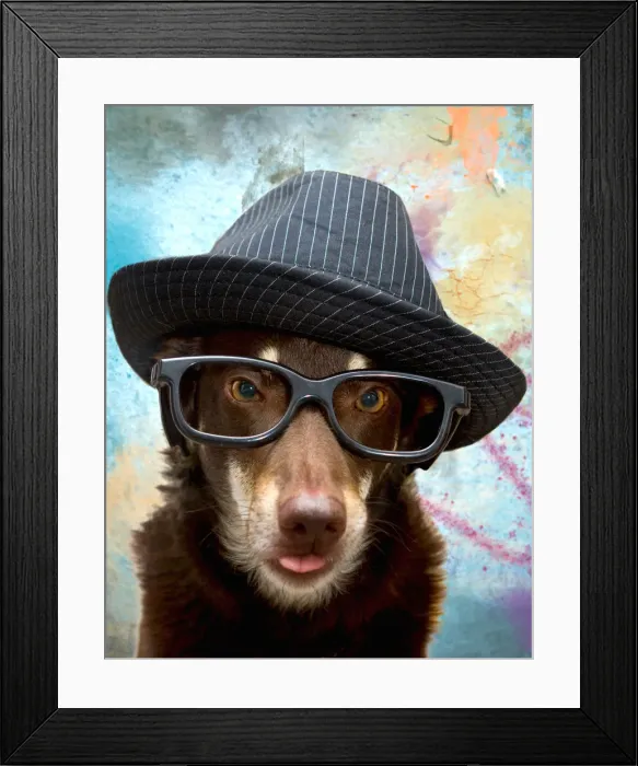 Framed Print : Pets Wearing Glasses