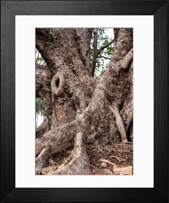 Framed Print : Marianne Purdie Photography Framed Print : Marianne Purdie Photography