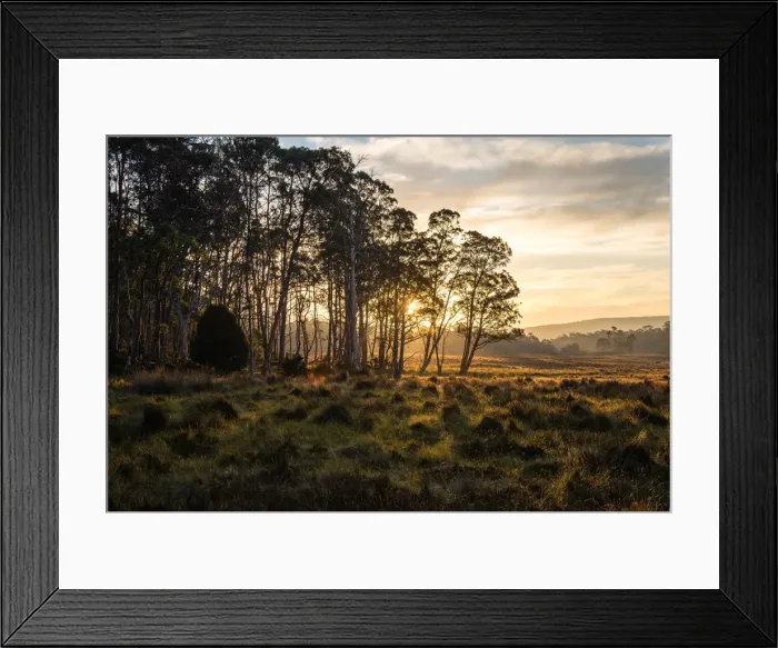 Framed Print : Overland Track at Sunset