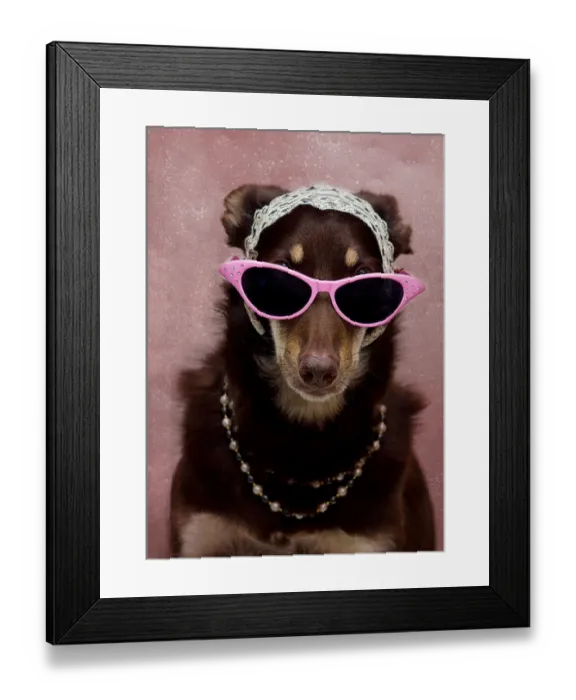 Framed Print : Pets Wearing Glasses