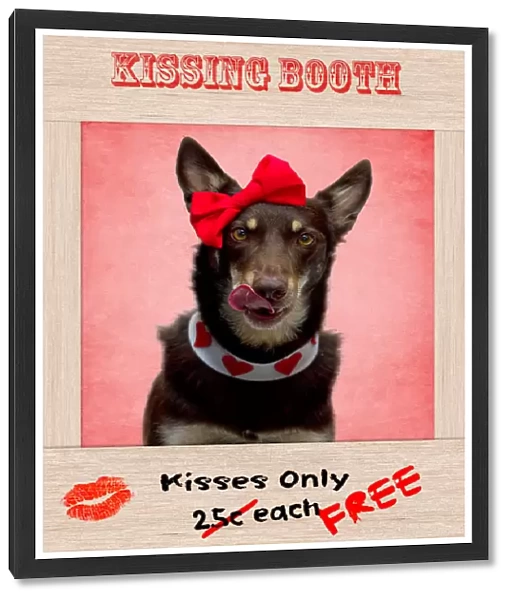 Doggie Kissing Booth