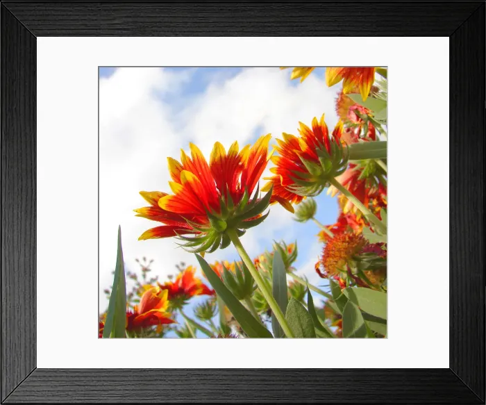 Framed Print : Underneath perspective of