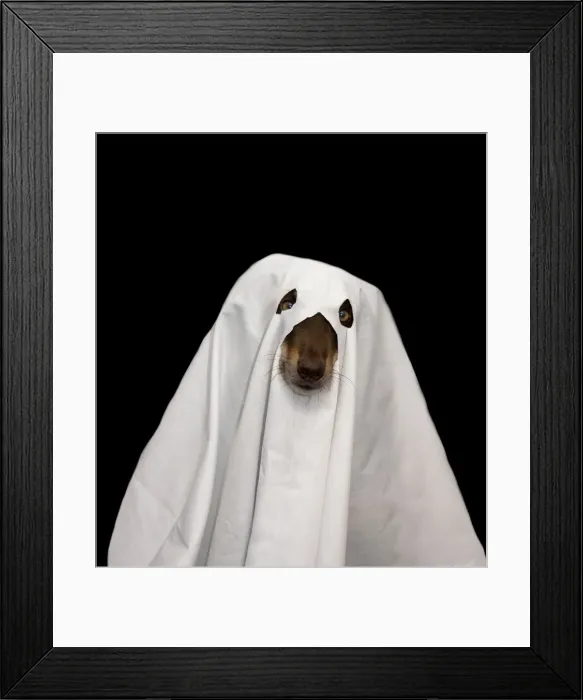 Framed Print : Halloween Pets Framed Print : Halloween Pets