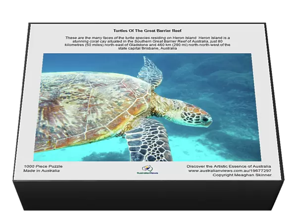 Turtles Of The Great Barrier Reef