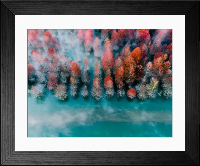 Framed Print : aerial view of autumn leaves in Shanghai Framed Print : aerial view of autumn leaves in Shanghai