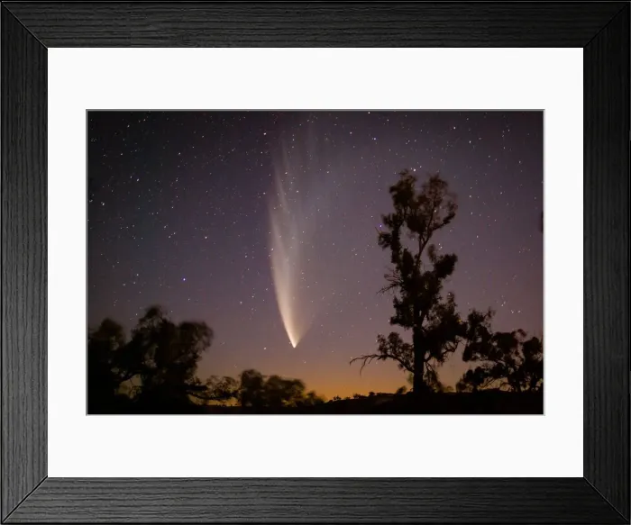 Framed Print : Stargazing Framed Print : Stargazing