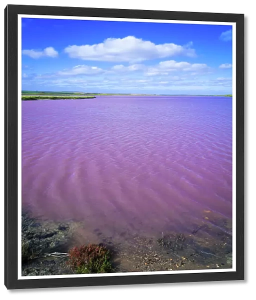 Saline pink lake of Coorong, South Australia