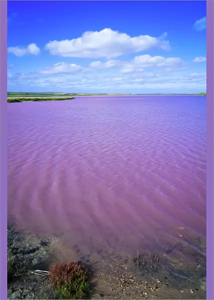 Saline pink lake of Coorong, South Australia