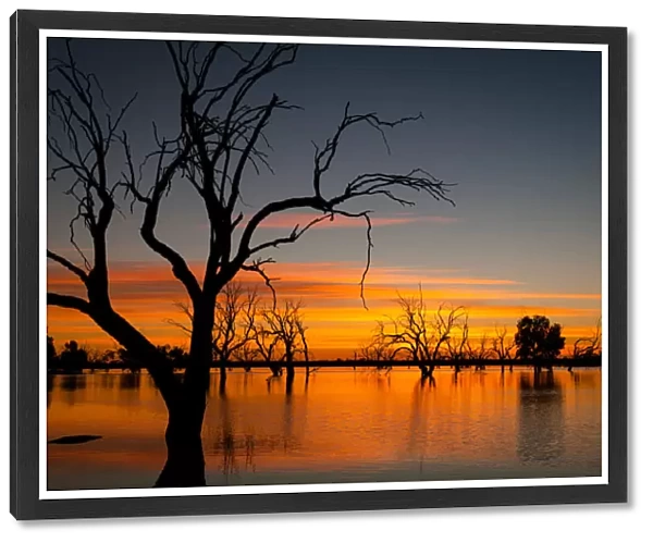 Outback Sunrise over Lake Pinaroo