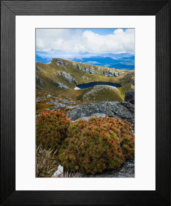 Framed Print : Cirque lake and heath, Western Arthurs, Tasmania