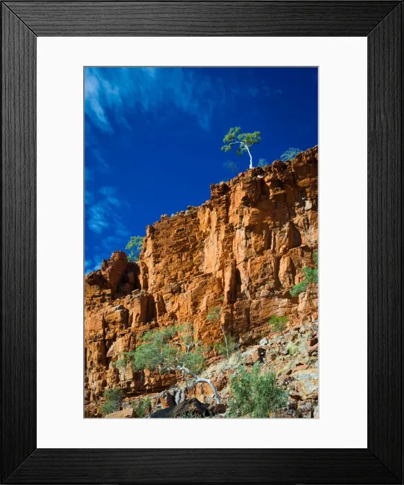 Framed Print : Stunning outback landscape of ghost gums on cliffs
