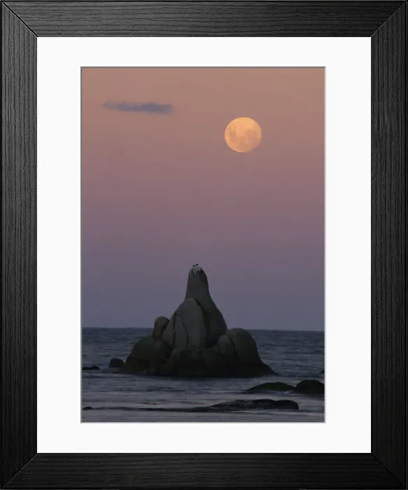 Framed Print : Australia, Tasmania, Bay of Fires, moonrise over Sloop Reef