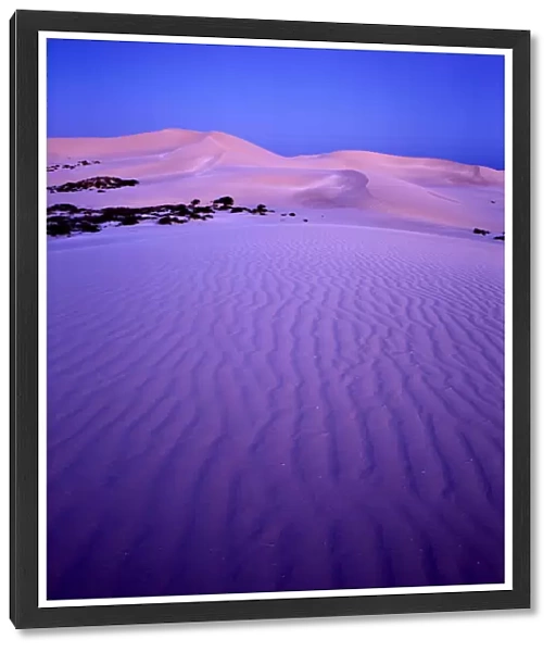 Western Australia, Eucla National Park, sand dunes at dusk