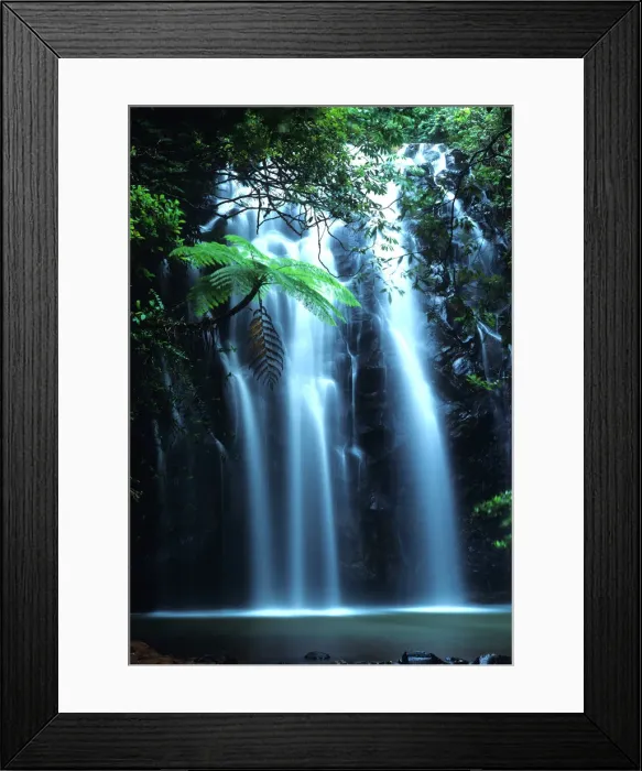 Framed Print : Tropical tree fern overhanging waterfall on Elinjaa Creek Framed Print : Tropical tree fern overhanging waterfall on Elinjaa Creek
