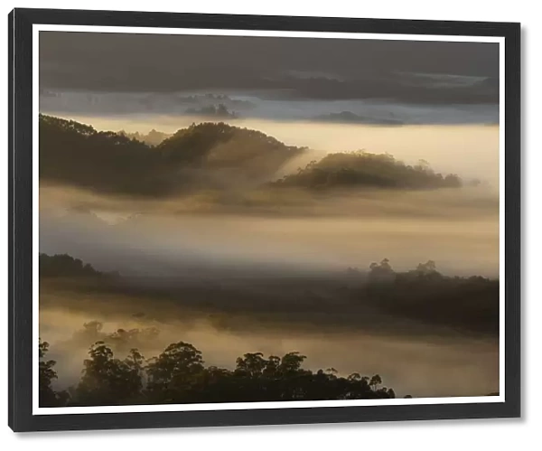 Australia, Tasmania, Southwest National Park, Arthur Plains in mist