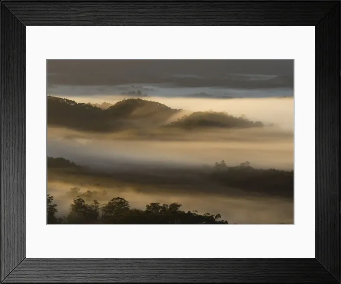 Framed Print : Australia, Tasmania, Southwest National Park, Arthur Plains in mist Framed Print : Australia, Tasmania, Southwest National Park, Arthur Plains in mist
