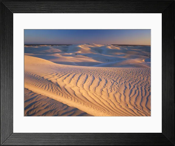 Framed Print : South Australia, Nullarbor National Park, sand dunes at sunset Framed Print : South Australia, Nullarbor National Park, sand dunes at sunset