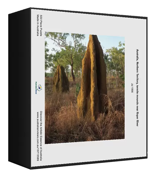 Australia, Northern Territory, termite mounds near Roper River