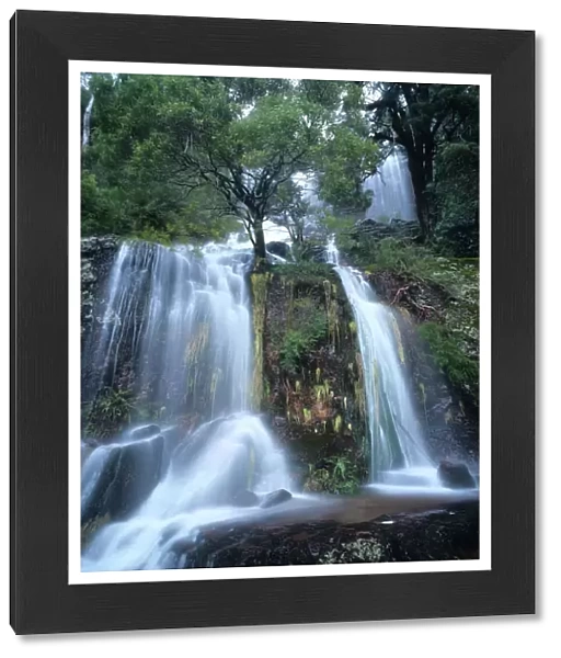 Australia, Victoria, Upper Dandongadale Falls below Mt. Cobbler