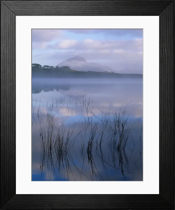 Framed Print : Australia, Tasmania, Bathurst Harbour and Mt. Rugby at dawn Framed Print : Australia, Tasmania, Bathurst Harbour and Mt. Rugby at dawn