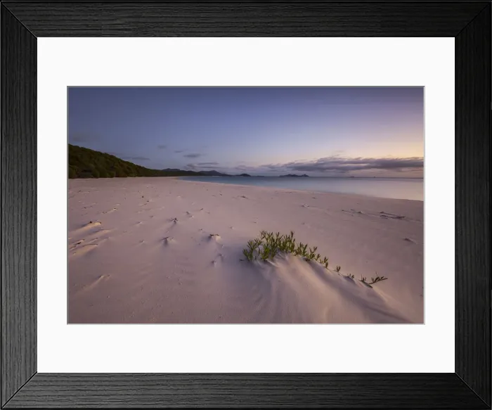 Framed Print : Whitehaven Beach
