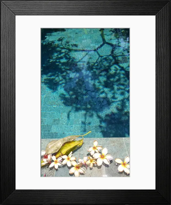 Framed Print : Tropical Feels