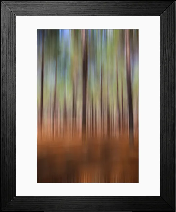 Framed Print : Forest in Perth pine trees made into a graphic textured pattern Framed Print : Forest in Perth pine trees made into a graphic textured pattern