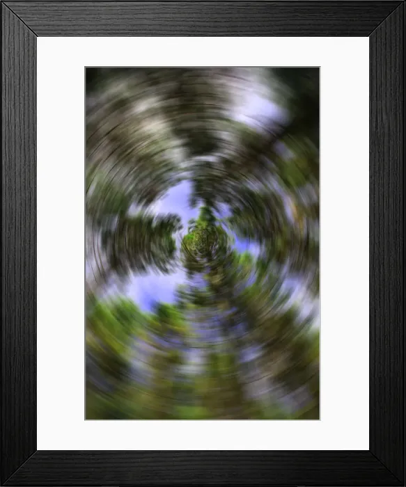 Framed Print : radial tree blur