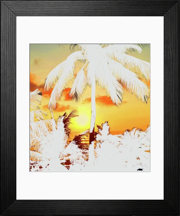 Framed Print : whitepalms Framed Print : whitepalms