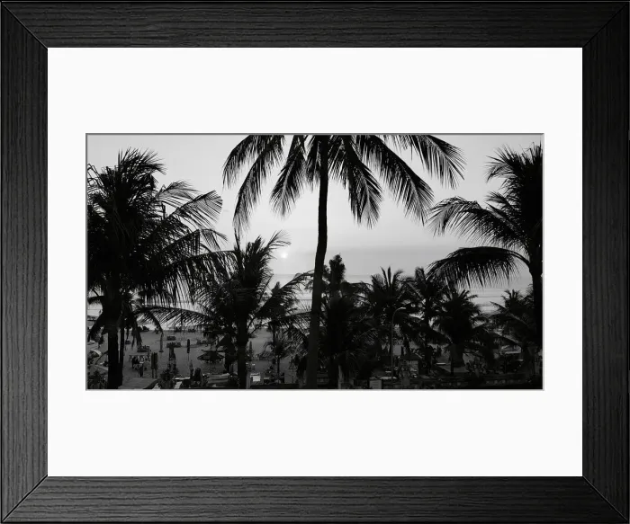 Framed Print : Bali Palms Framed Print : Bali Palms